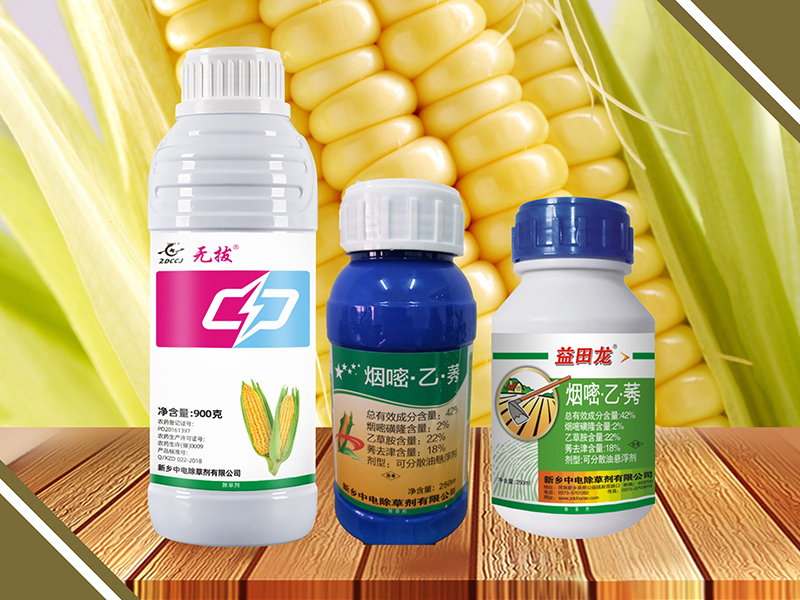 無拔 益田龍42%煙嘧·乙·莠